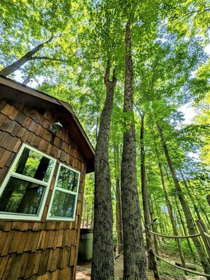 Property grounds - The Sanctuary (Great Cacapon)