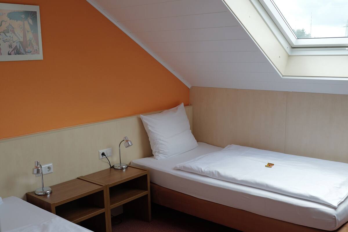 A room with two beds, a skylight, and a painting on the wall.