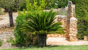 Estructura de piedra con ducha integrada, rodeada de exuberante follaje y una palmera.