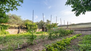 Een tuin met verhoogde borders, een bakstenen muur en een draadhek.