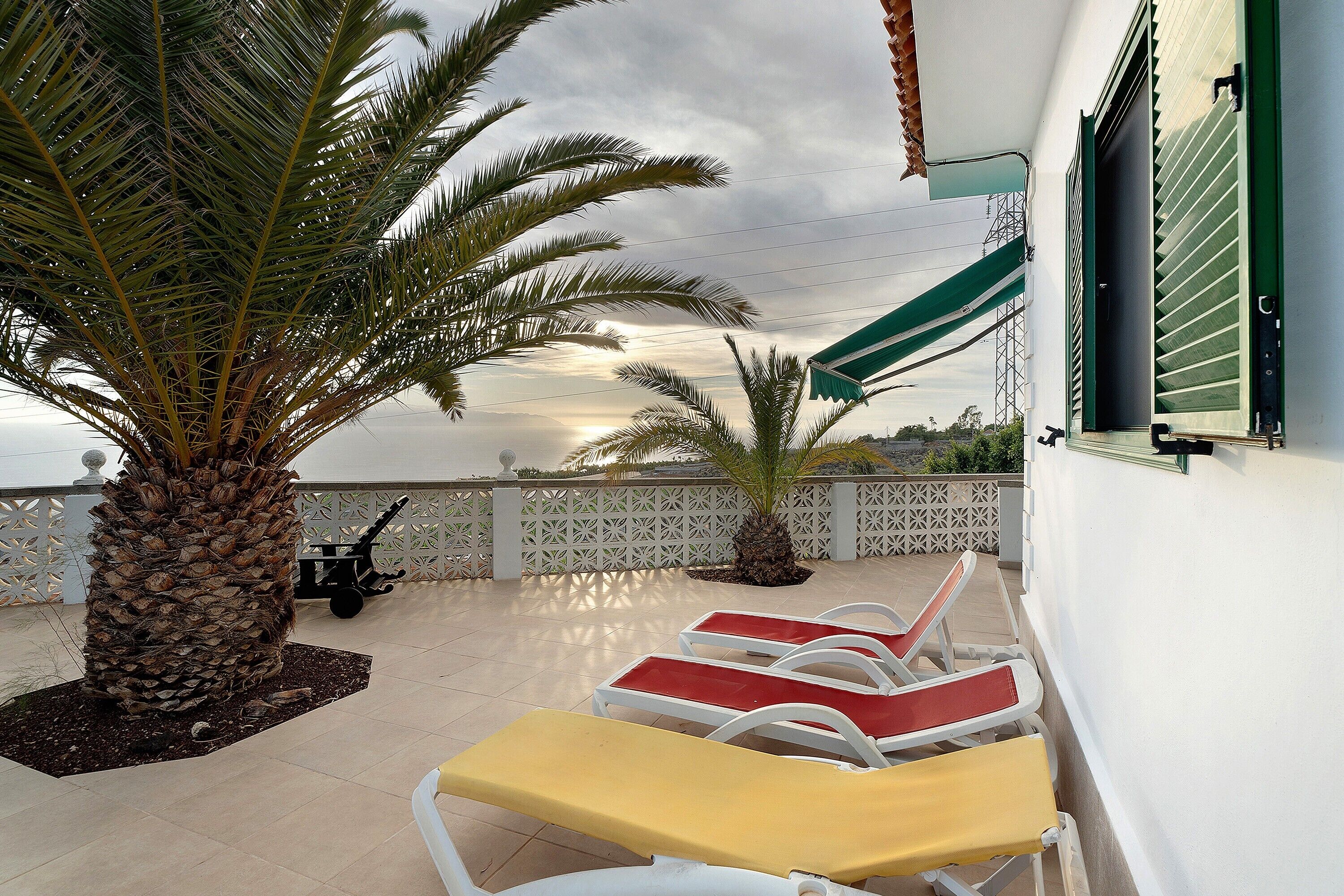 Une terrasse sur le toit, avec des chaises longues, un palmier et une vue sur le ciel.