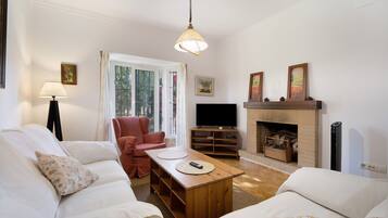 Fernseher, Kamin