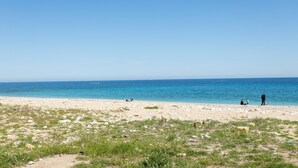 A beach with a clear sky, calm sea, and sparse vegetation.
