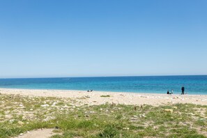 Playa en los alrededores 