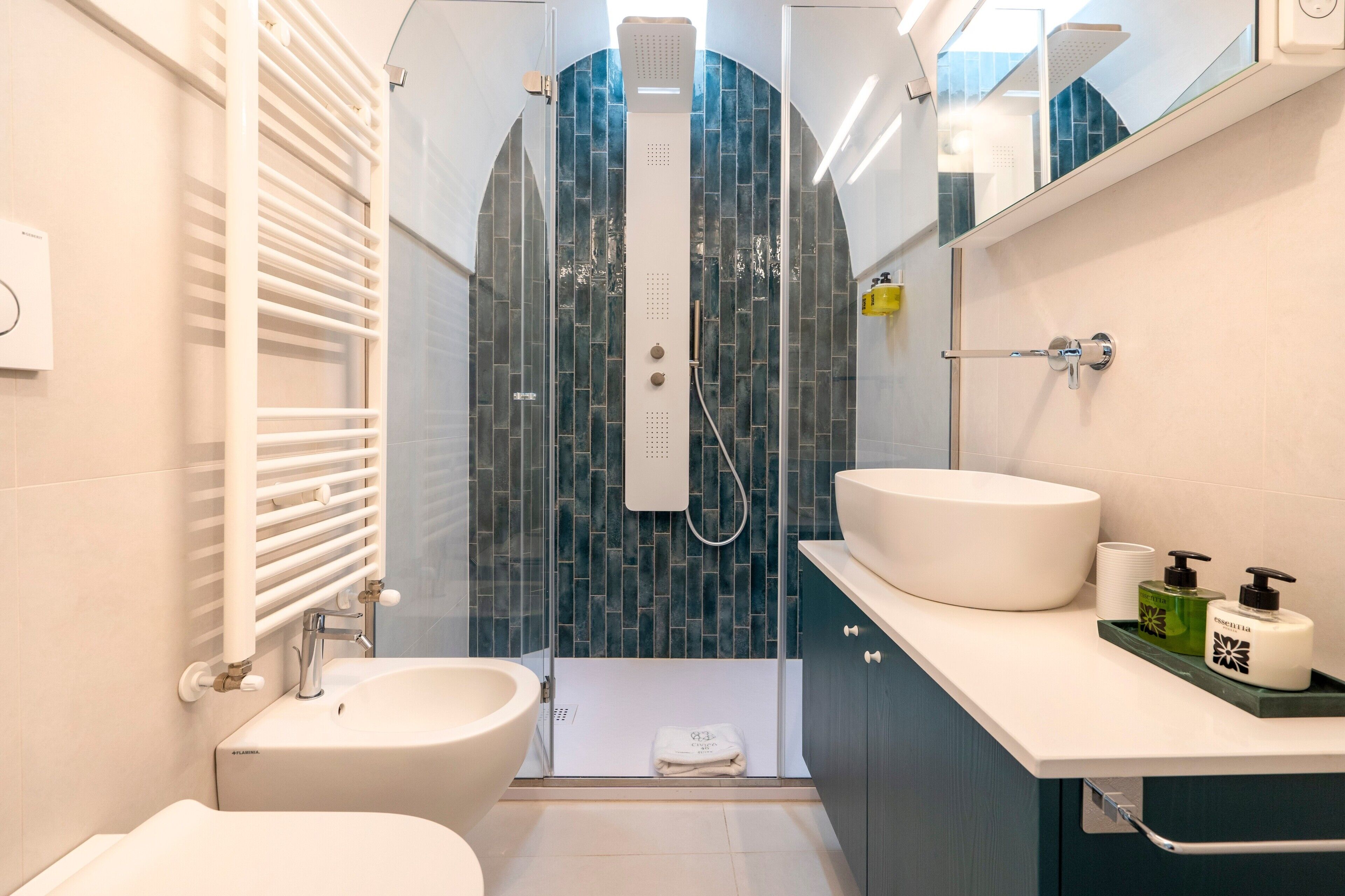 Shower, hair dryer, towels