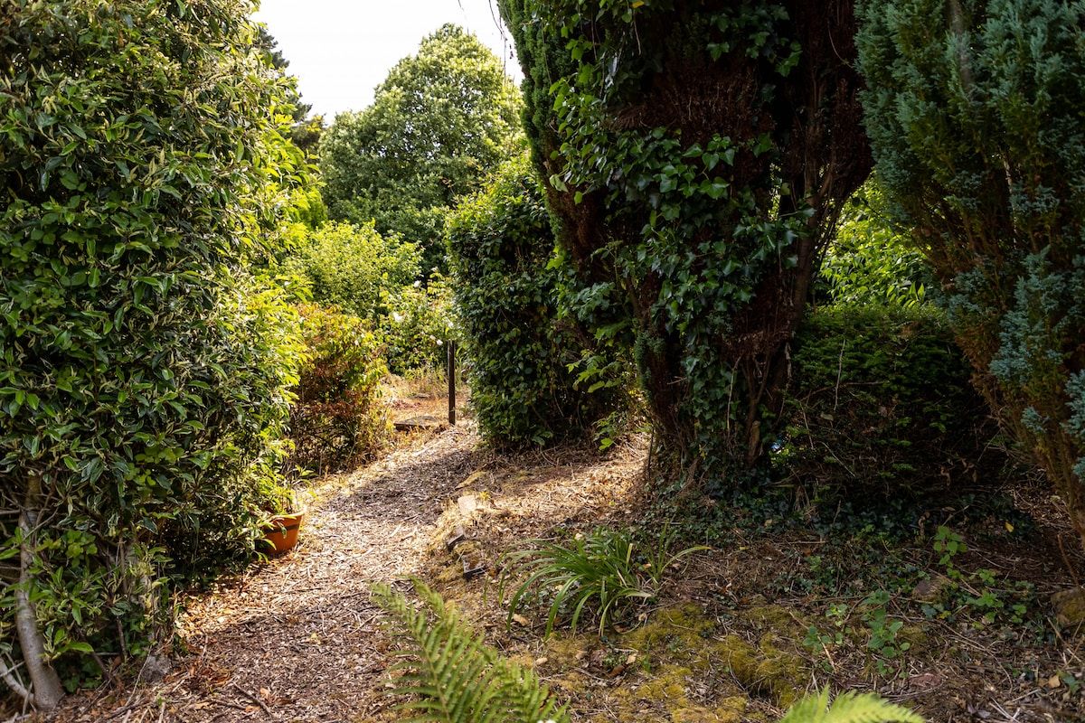 Fresh Escapes - Bramblewood- Maidencombe Sleeps 6 - Garden