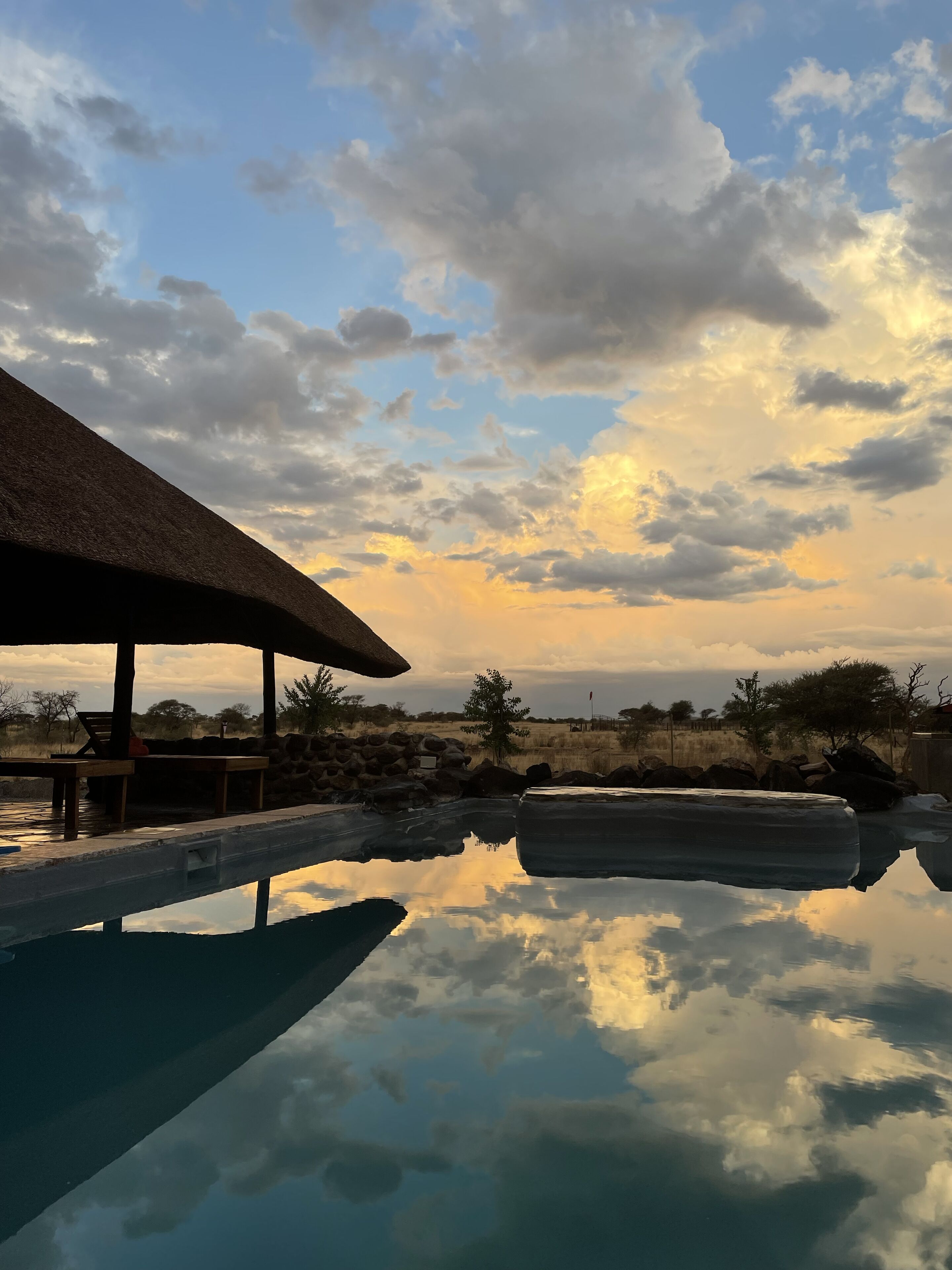 室外游泳池，池畔遮阳伞，日光浴躺椅