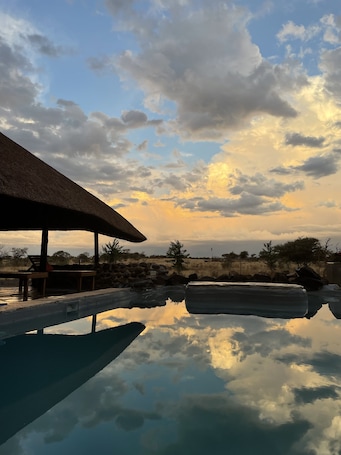 Outdoor pool, pool umbrellas, sun loungers