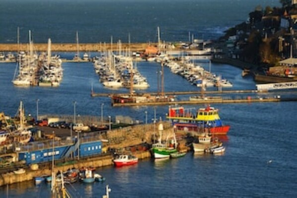 Boats of various sizes and types are docked in a well-organized marina near urban amenities.
