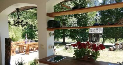 Helles Studioapartment mit SĂŒdbalkon. Alleinlage im Wald fĂŒr Naturliebhaber