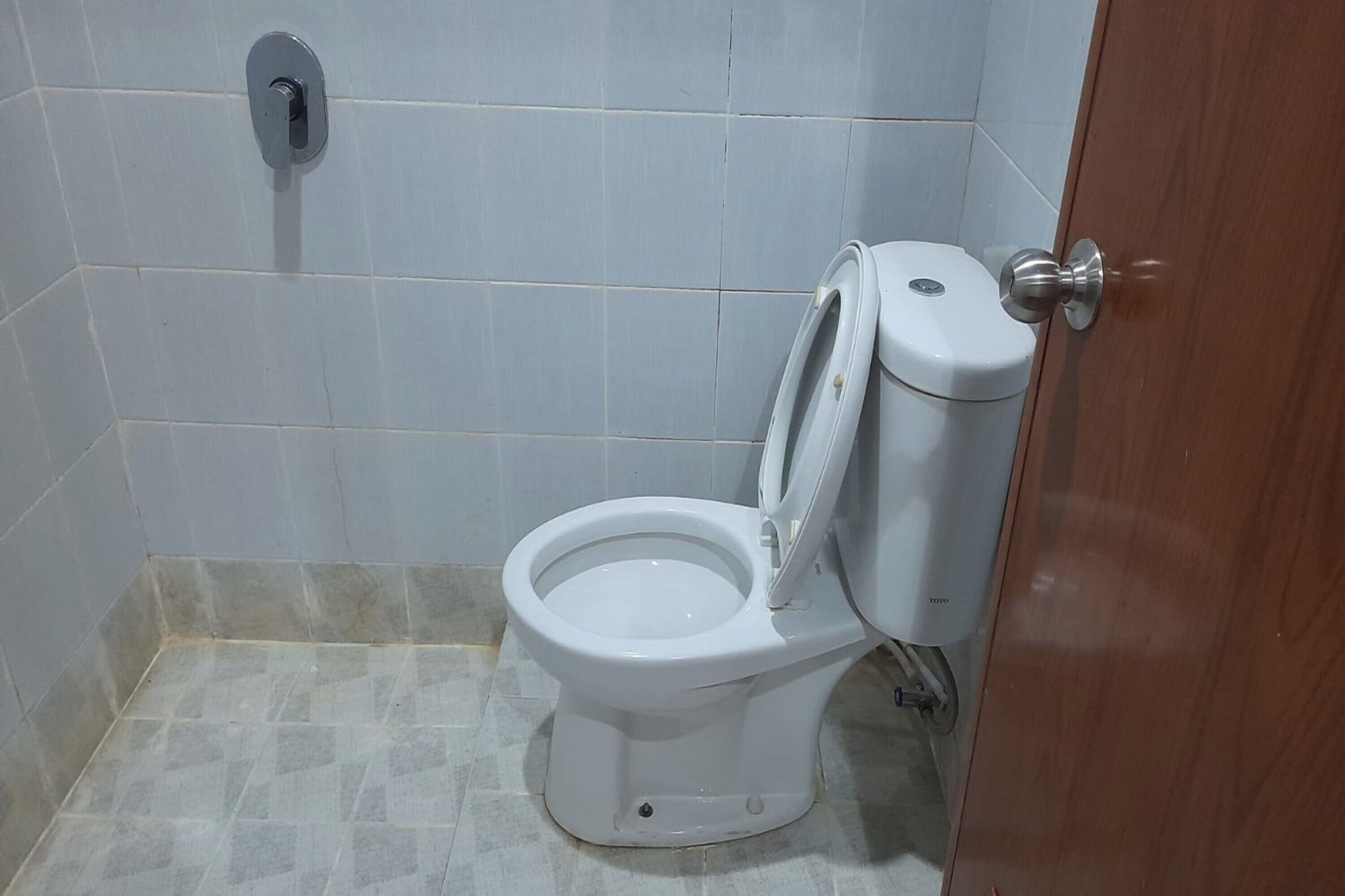 A small, clean bathroom with a white toilet, a flush handle, and a wooden door.