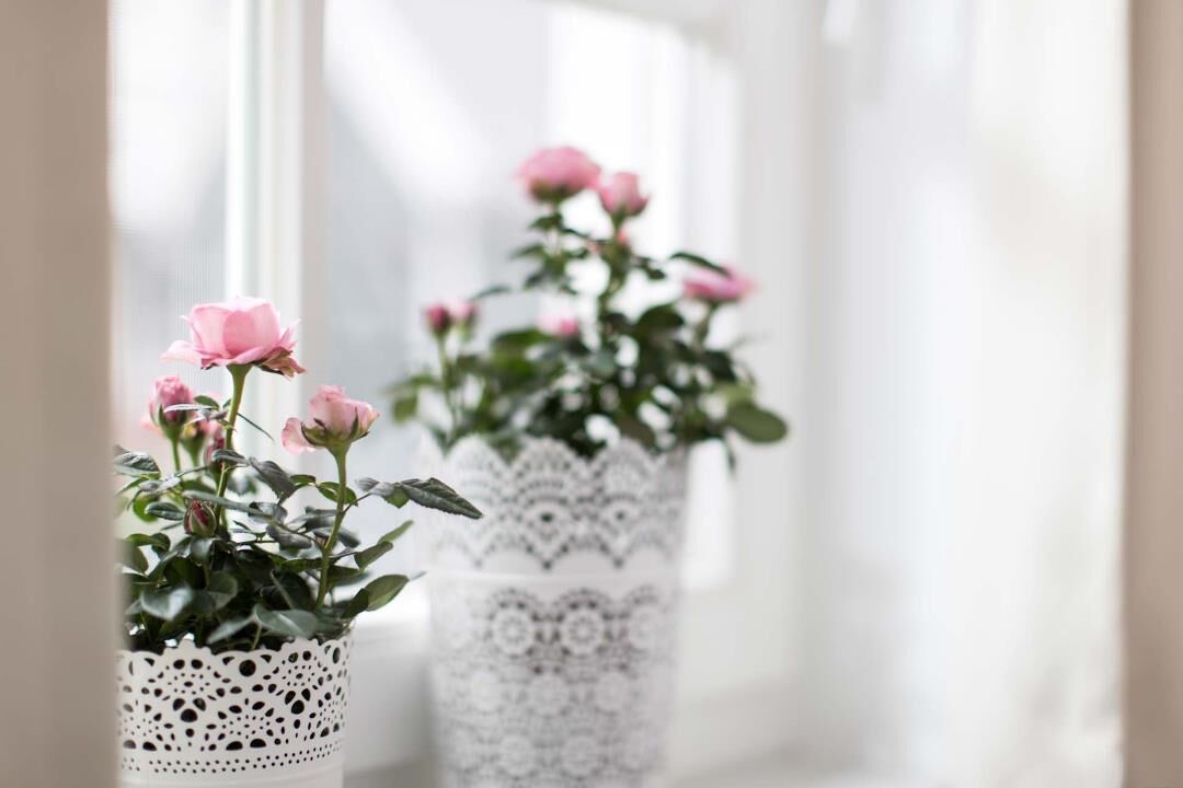 Two white, intricately designed vases with pink roses.