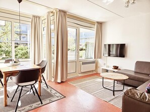 DVD player, books - Amelander Paradijs 23, Buren Paradijsje (Ameland)