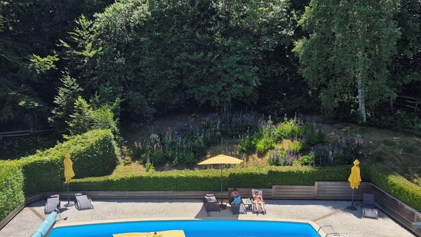 Een rechthoekig zwembad met een gele parasol, omringd door ligbedden en een houten terras.