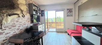 Cozy apartment "WAPITI" at the foot of the slopes