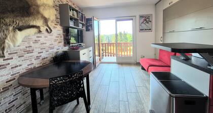 Cozy apartment "WAPITI" at the foot of the slopes