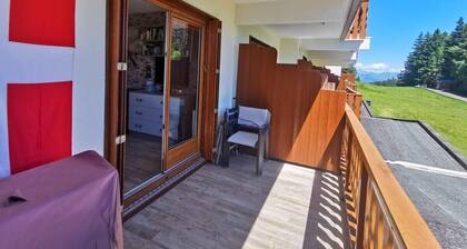 Appartement cosy le "WAPITI" au pied des pistes