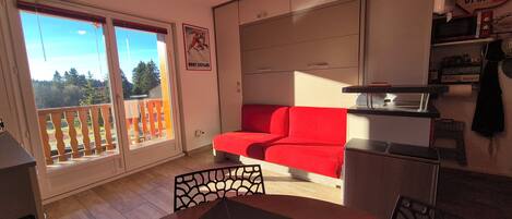 Télévision, lecteur de DVD, livres, vidéothÚque