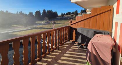 Appartement cosy le "WAPITI" au pied des pistes