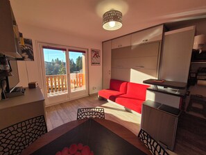 Fernseher, DVD-Player, Bücher, Videothek