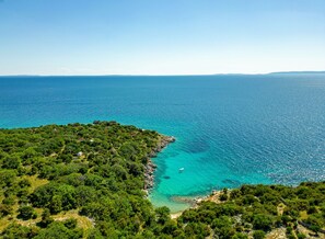 Un paysage côtier caractérisé par une végétation luxuriante et une mer d’un bleu profond.