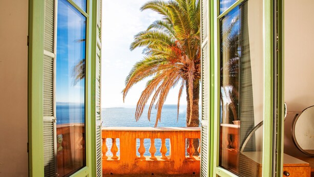 A balcony with a view of the sea and a palm tree.