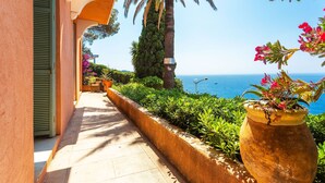 A balcony with a view of the sea, a palm tree, and a potted plant.
