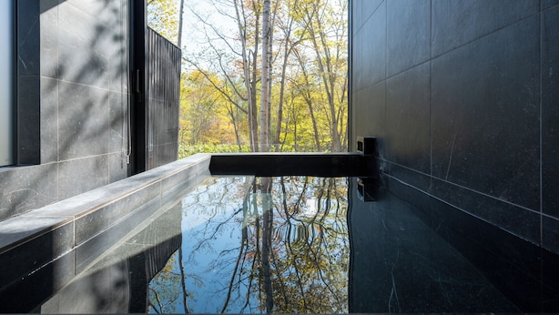 A modern bathroom with a glass floor, a bench, and a view of trees through a window. - Yuki Sugi at Intuition (Kutchan)
