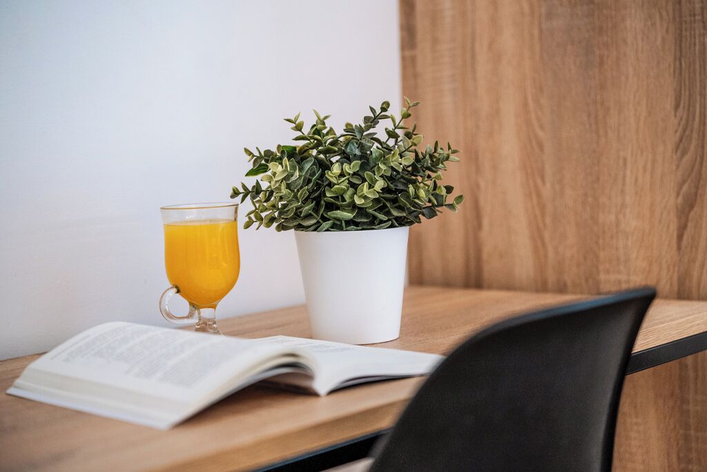 Foto - Sweet Lloret Suites