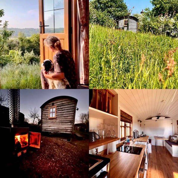 Cabin | Sauna - Woodpecker Hill - Apple Orchard in Alfriston (Polegate)