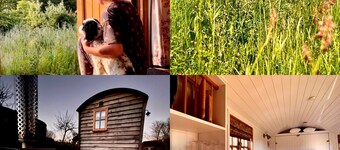 Woodpecker Hill - Apple Orchard in Alfriston