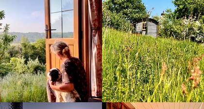 Woodpecker Hill - Apple Orchard in Alfriston