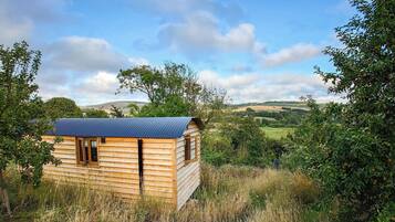 Cabin | Exterior