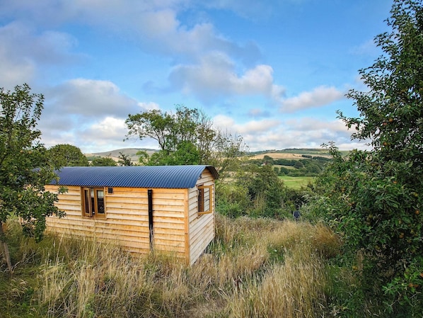 Cabin | Exterior