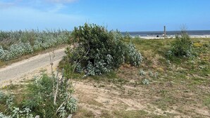 Un camí de terra que condueix a una platja amb vegetació escassa i un cel serè.