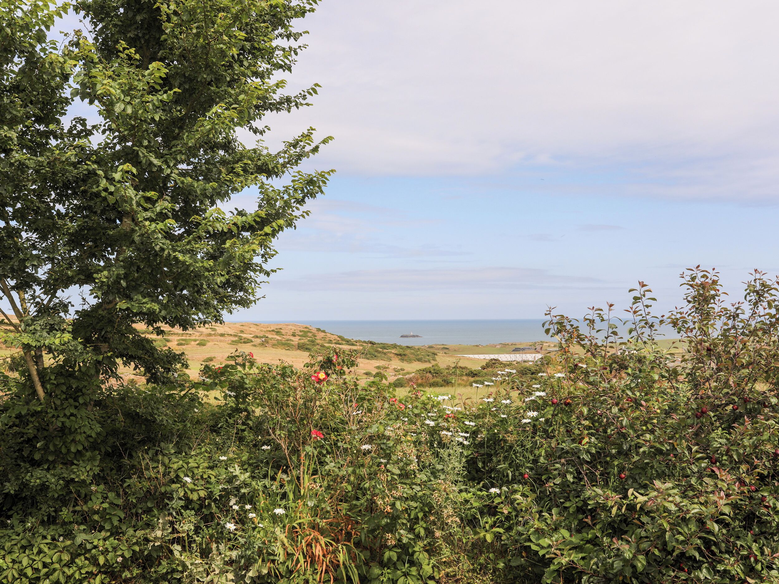 Een kustlandschap met weelderige begroeiing en uitzicht op zee.