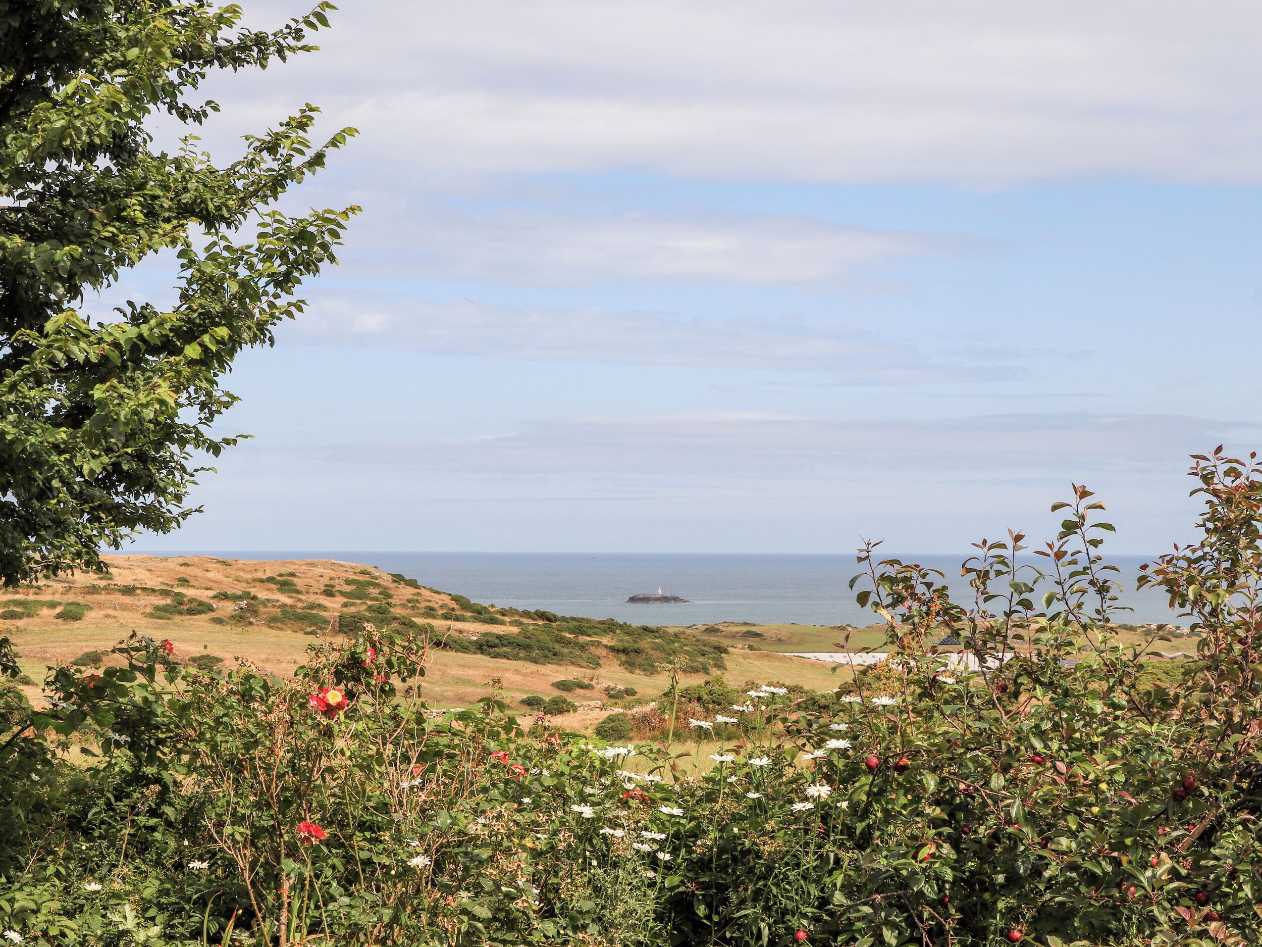 A coastal landscape with a lighthouse in the distance, surrounded by greenery and wildflowers.