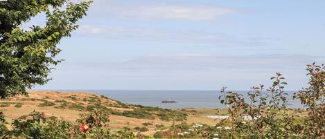 A coastal landscape with a lighthouse in the distance, surrounded by greenery and wildflowers.