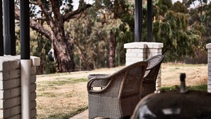 Una silla de mimbre bajo una pérgola, con un muro de ladrillo y árboles al fondo.