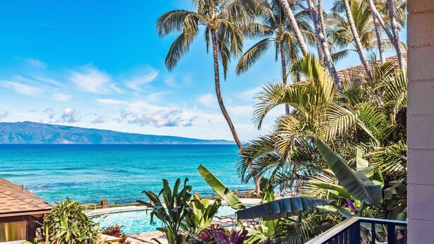 A pool area with tropical plants, a view of the ocean, and a clear sky.