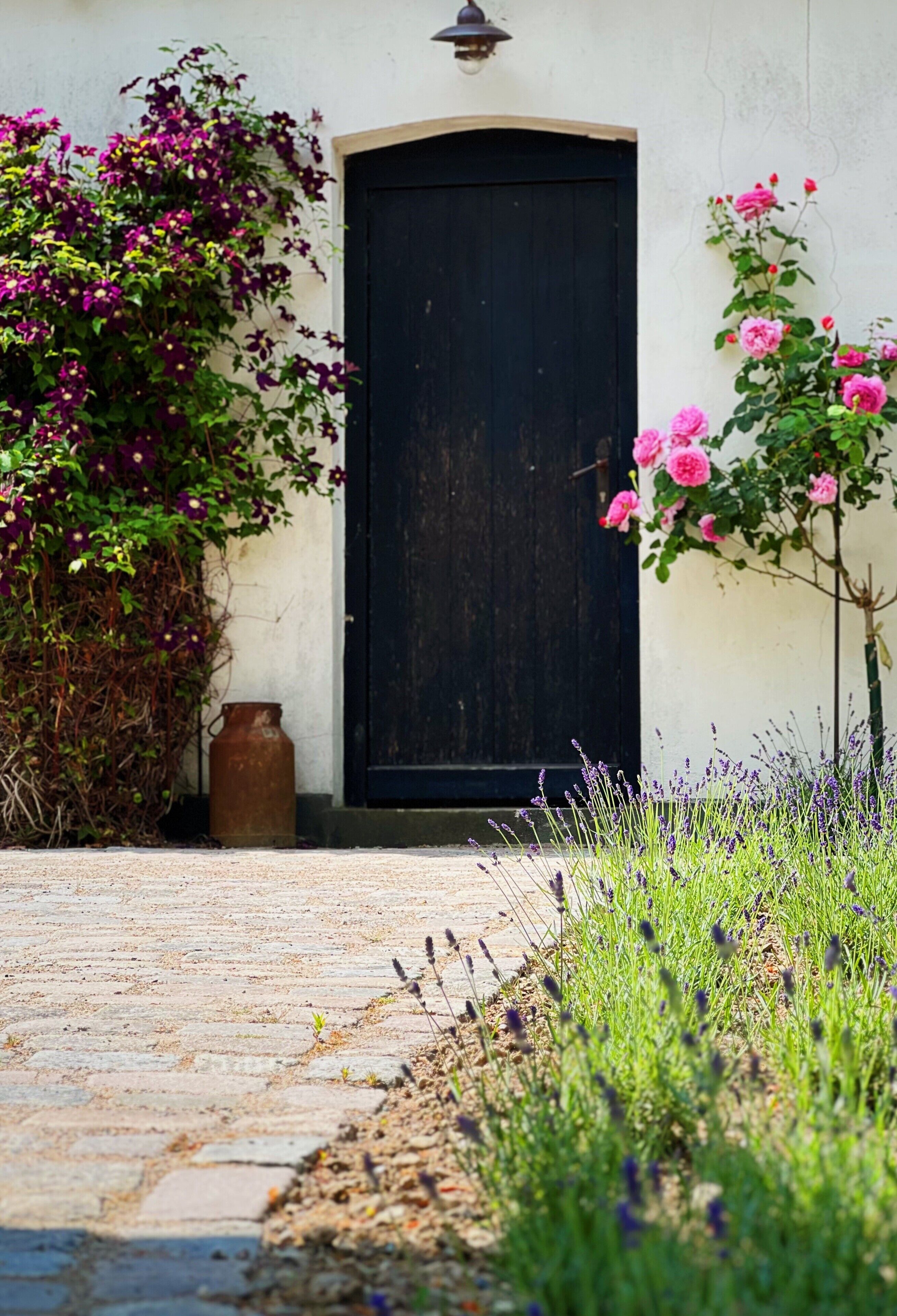 Detalle exterior