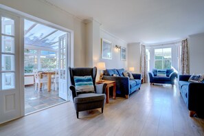 TV connectée, cheminée, lecteur de DVD