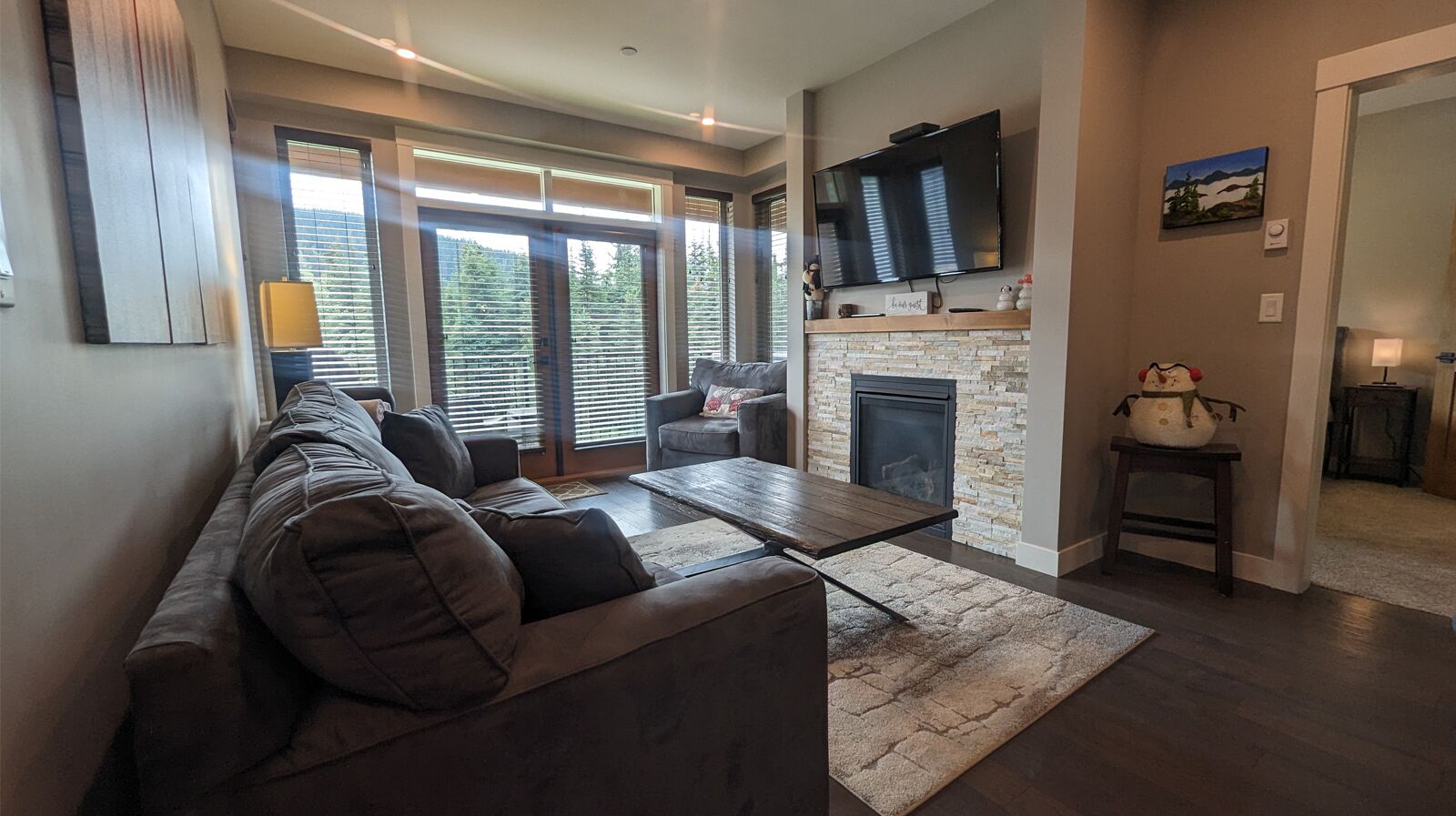 Télévision, cheminée, lecteur de DVD