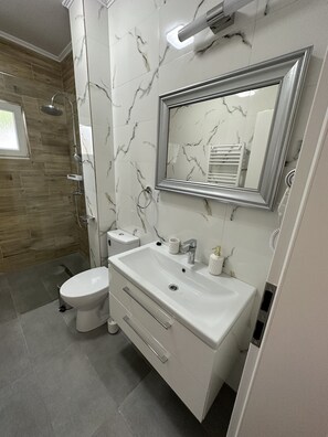 Assecador de cabells, tovalloles, sabó i paper higiènic 