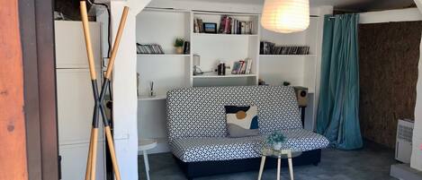 TV, table tennis, books, stereo