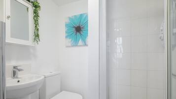 Hair dryer, towels, toilet paper