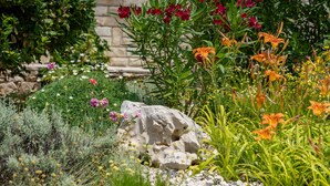 A garden with various plants and flowers, a large rock, and a stone wall in the background. - Family Villa  Pag  2 min from the beach hot tub  - free parking (Pag)