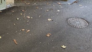 Entrada de propriedade privada, com aviso de vigilância por câmera, porta verde e muro de tijolos.