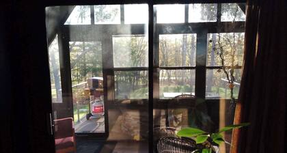 Enjoy A memorable experience in our unique Cabin on Wisconsin River