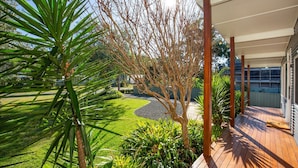 Una terraza de madera con un sendero curvo, rodeada de abundante vegetación y un árbol.